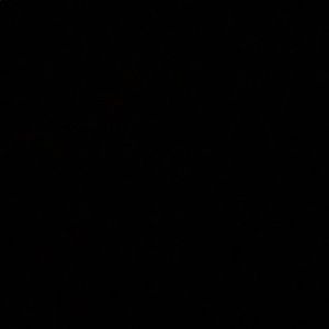 Meet your Posher, Kyra